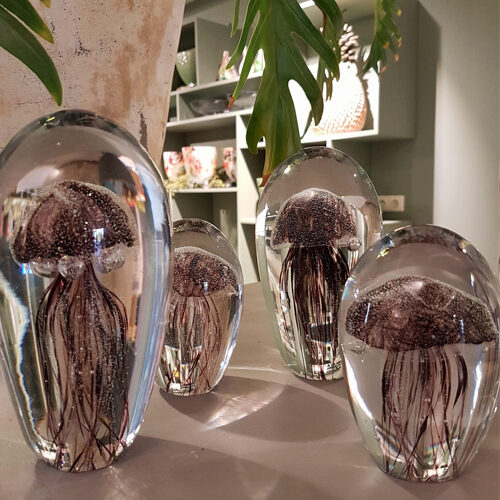 Decoratieve glazen met een kwal erin